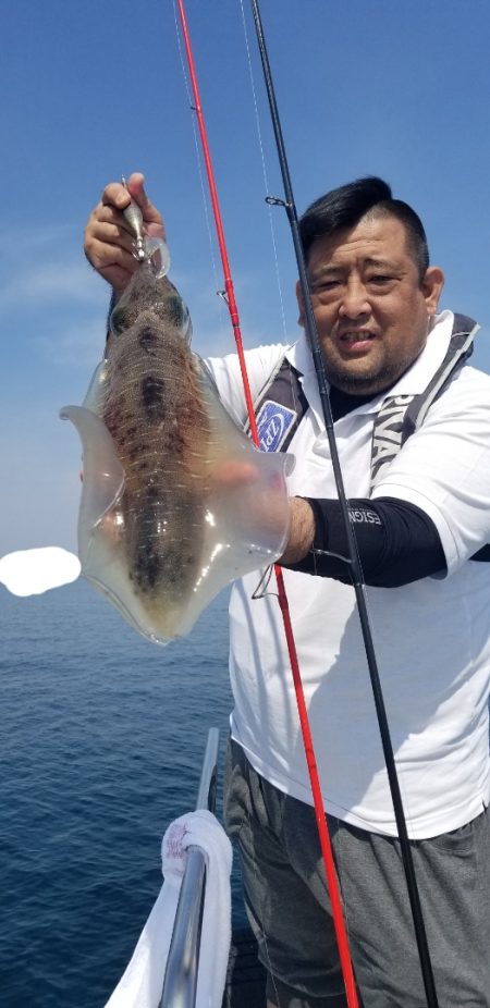 ソルトウォーターガイドフレンズ 釣果