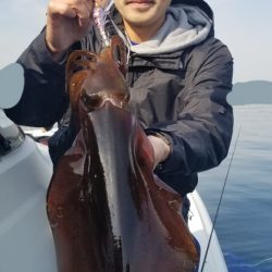 ソルトウォーターガイドフレンズ 釣果