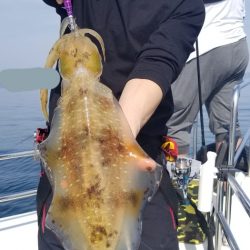 ソルトウォーターガイドフレンズ 釣果