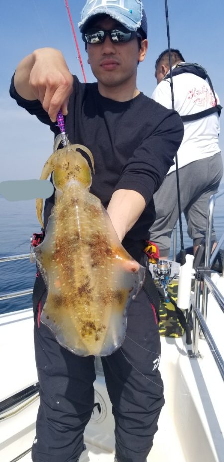 ソルトウォーターガイドフレンズ 釣果