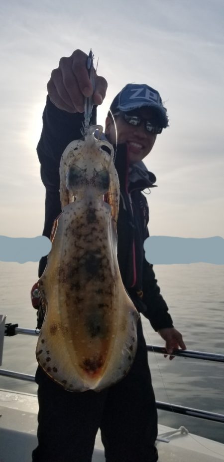 ソルトウォーターガイドフレンズ 釣果