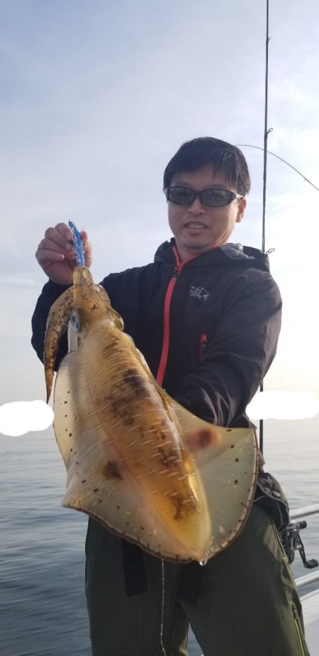 ソルトウォーターガイドフレンズ 釣果