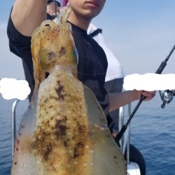 ソルトウォーターガイドフレンズ 釣果