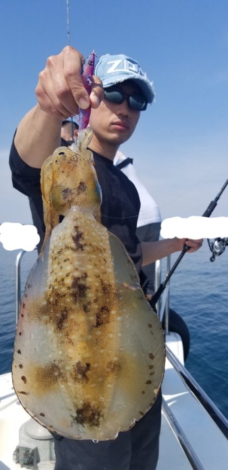 ソルトウォーターガイドフレンズ 釣果