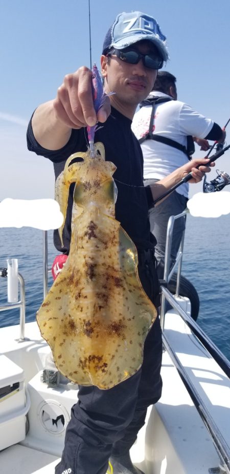 ソルトウォーターガイドフレンズ 釣果