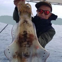 ソルトウォーターガイドフレンズ 釣果