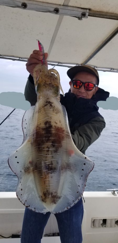 ソルトウォーターガイドフレンズ 釣果