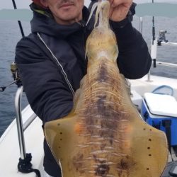 ソルトウォーターガイドフレンズ 釣果