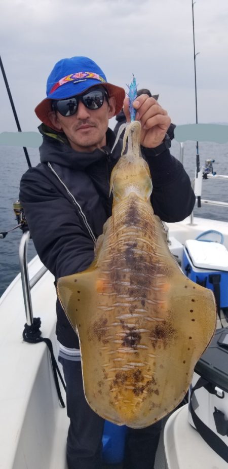 ソルトウォーターガイドフレンズ 釣果