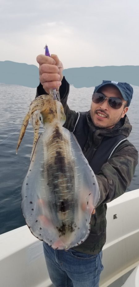 ソルトウォーターガイドフレンズ 釣果