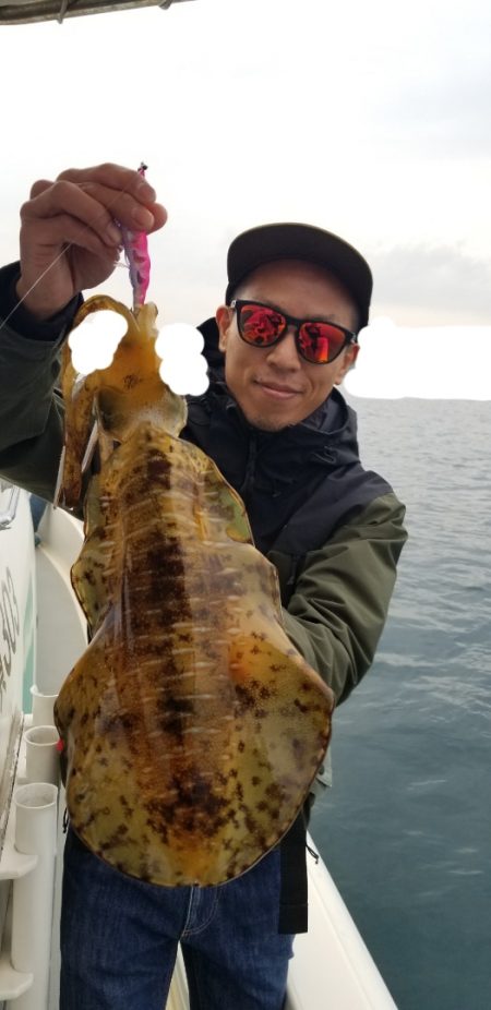 ソルトウォーターガイドフレンズ 釣果