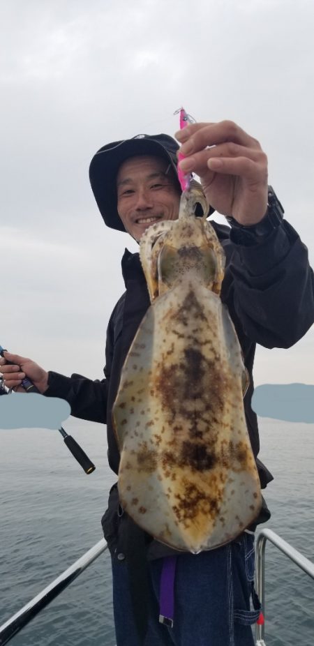 ソルトウォーターガイドフレンズ 釣果