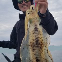 ソルトウォーターガイドフレンズ 釣果