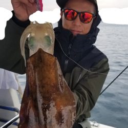 ソルトウォーターガイドフレンズ 釣果