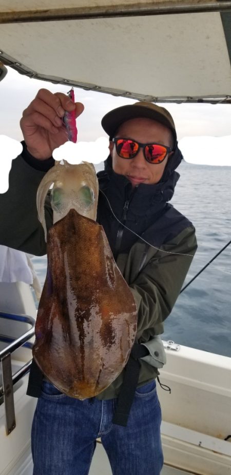 ソルトウォーターガイドフレンズ 釣果