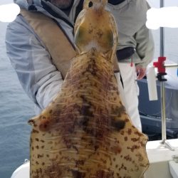 ソルトウォーターガイドフレンズ 釣果