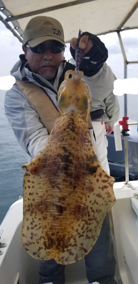 ソルトウォーターガイドフレンズ 釣果