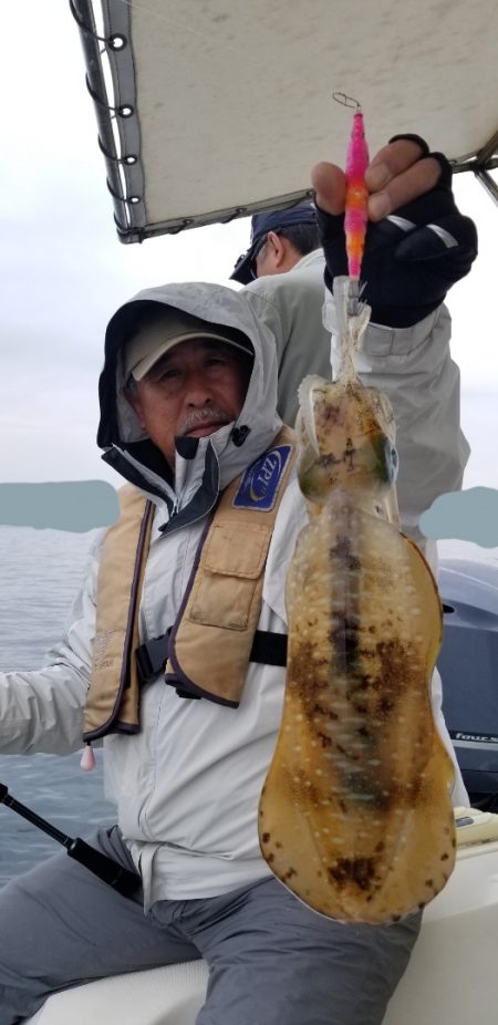 ソルトウォーターガイドフレンズ 釣果