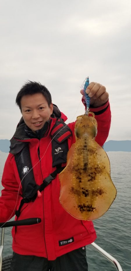 ソルトウォーターガイドフレンズ 釣果