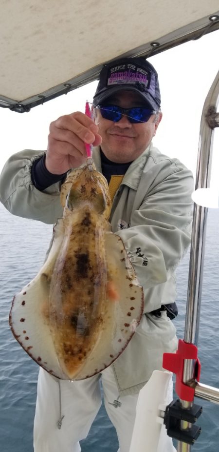 ソルトウォーターガイドフレンズ 釣果