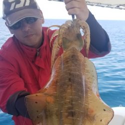 ソルトウォーターガイドフレンズ 釣果