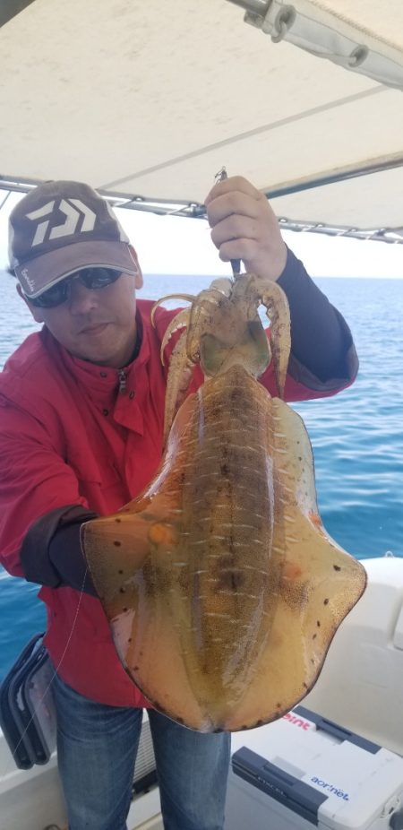 ソルトウォーターガイドフレンズ 釣果