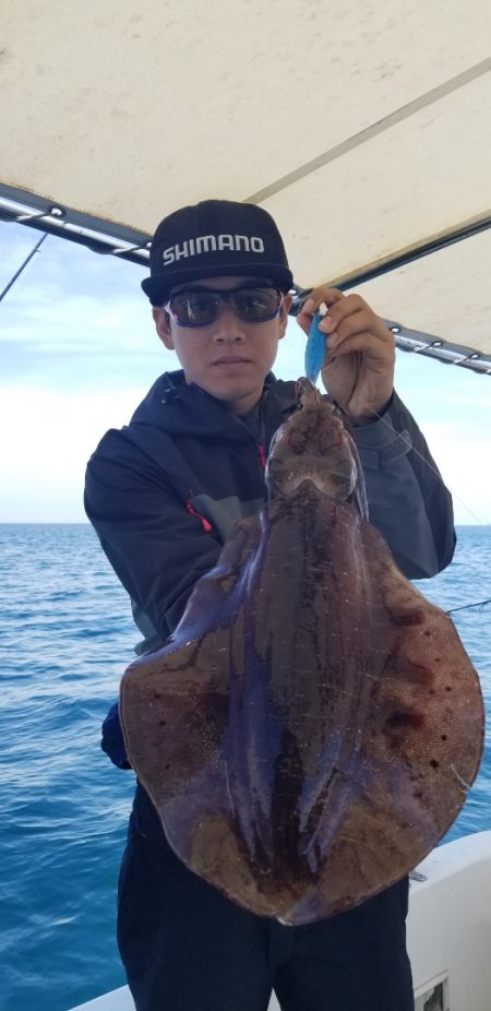 ソルトウォーターガイドフレンズ 釣果