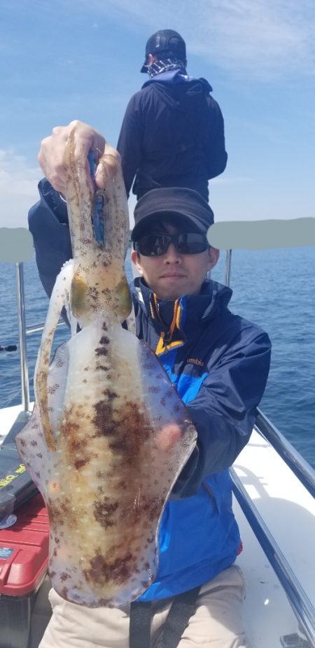 ソルトウォーターガイドフレンズ 釣果