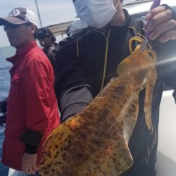 ソルトウォーターガイドフレンズ 釣果