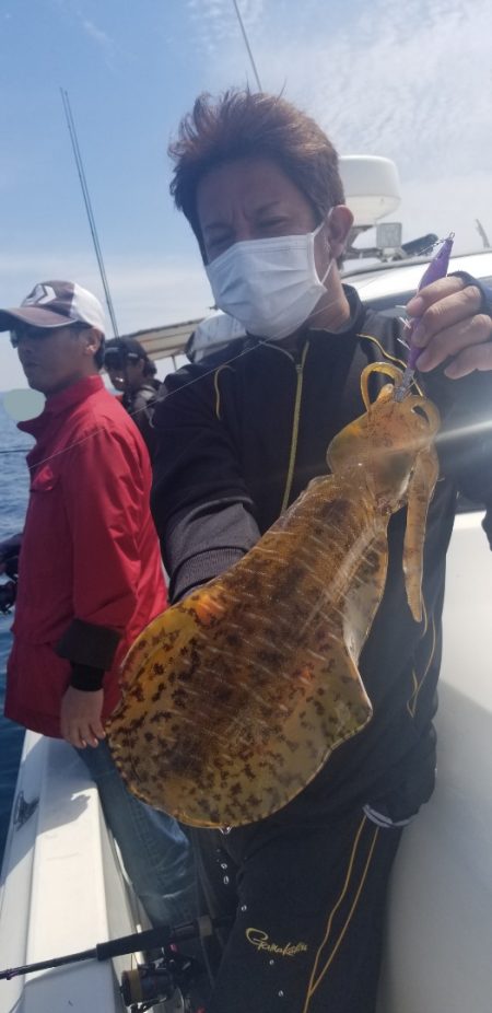 ソルトウォーターガイドフレンズ 釣果