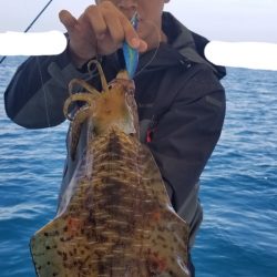 ソルトウォーターガイドフレンズ 釣果