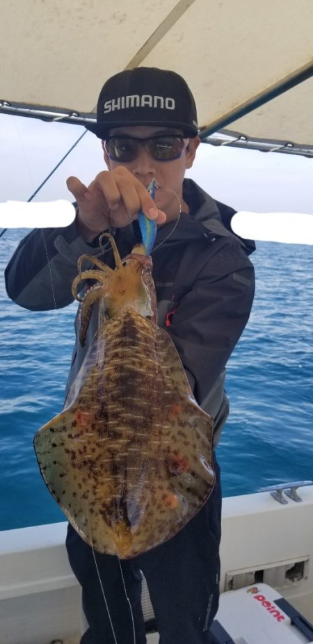 ソルトウォーターガイドフレンズ 釣果