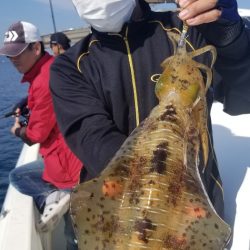 ソルトウォーターガイドフレンズ 釣果