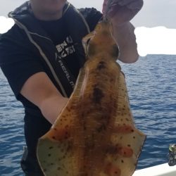 ソルトウォーターガイドフレンズ 釣果