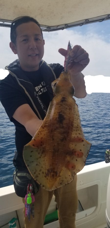 ソルトウォーターガイドフレンズ 釣果