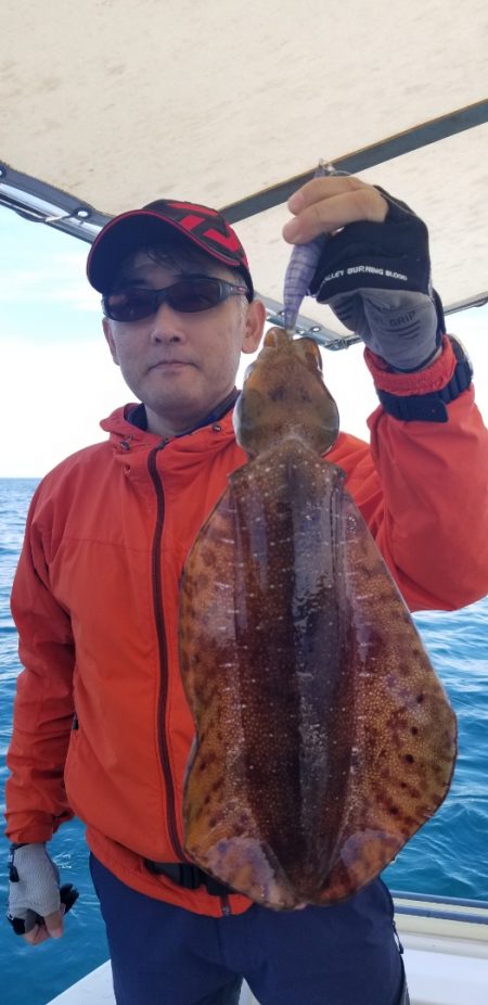 ソルトウォーターガイドフレンズ 釣果