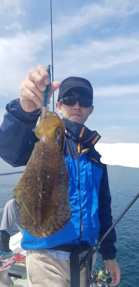 ソルトウォーターガイドフレンズ 釣果