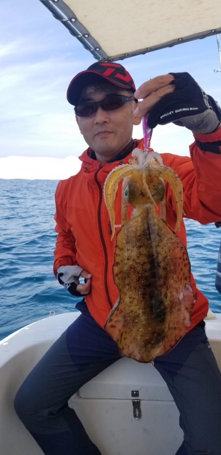 ソルトウォーターガイドフレンズ 釣果