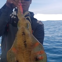 ソルトウォーターガイドフレンズ 釣果