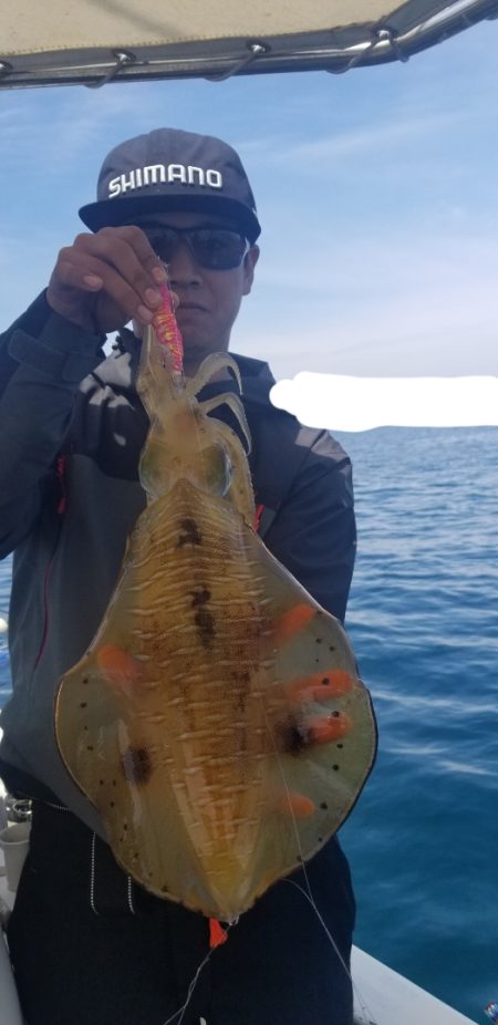 ソルトウォーターガイドフレンズ 釣果