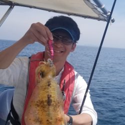 ソルトウォーターガイドフレンズ 釣果