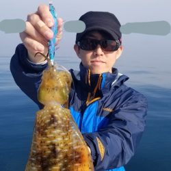 ソルトウォーターガイドフレンズ 釣果