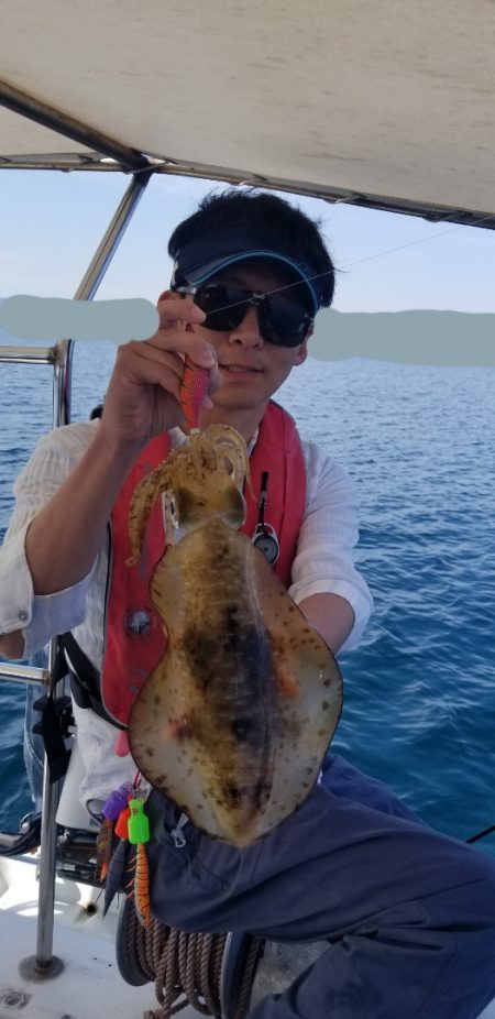 ソルトウォーターガイドフレンズ 釣果