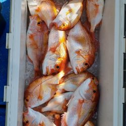 海龍丸（石川） 釣果