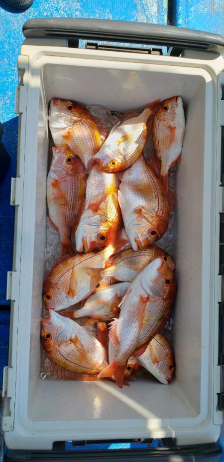 海龍丸（石川） 釣果