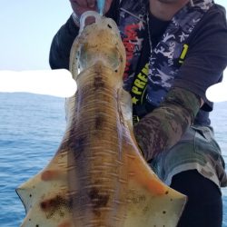 ソルトウォーターガイドフレンズ 釣果