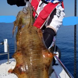 ソルトウォーターガイドフレンズ 釣果