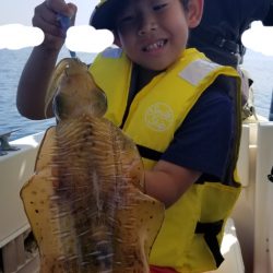 ソルトウォーターガイドフレンズ 釣果