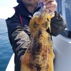 ソルトウォーターガイドフレンズ 釣果