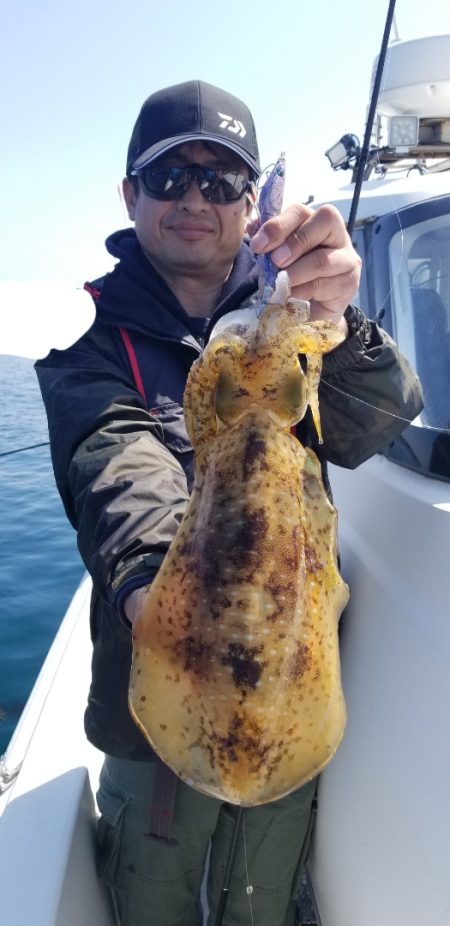 ソルトウォーターガイドフレンズ 釣果